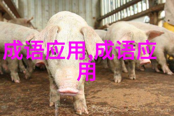 形容态度坚决的成语