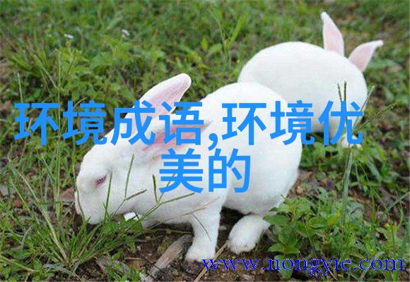 花样新翻