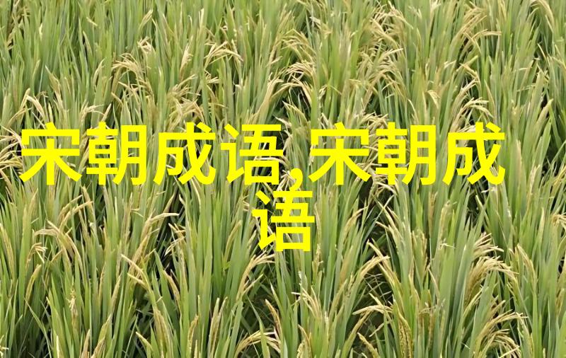 聪明反被聪明误的意思出处近义词反义词