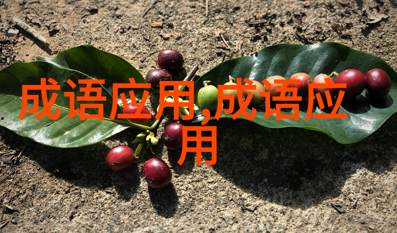 形容漂泊不定的成语