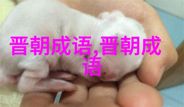 雉头狐腋的意思出处近义词反义词