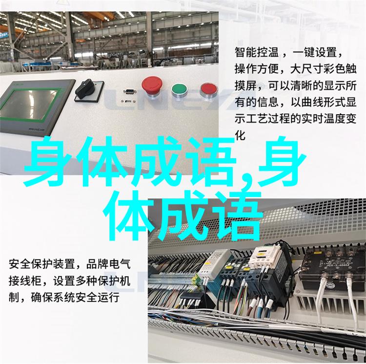 有嘴无心的解释出处造句