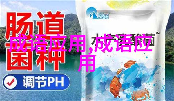 形容结尾的成语