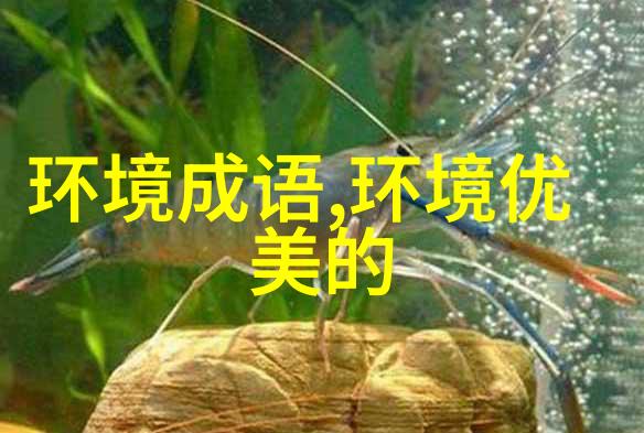 高耸入云