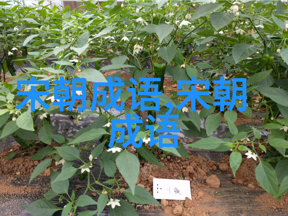 名缰利锁