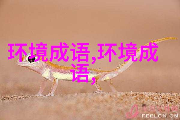 渔阳鼙鼓