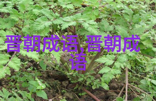 长绳系日的意思出处近义词反义词