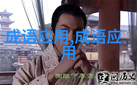 使愚使过的成语解释意思