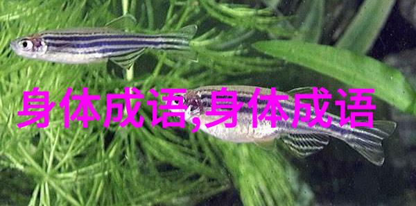 于心何忍的解释出处造句